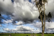 华体会：英超联赛：切尔西击退阿斯顿维拉.