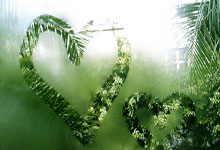 继续创造历史！德约科维奇逆转阿尔卡拉斯晋级半决赛@央视体育.