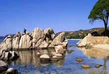 史上最悲剧跳马选手被器械弹飞变身人肉炮弹.